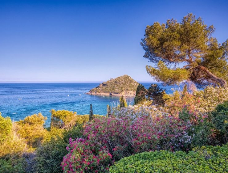 Villa Porto Ercole View