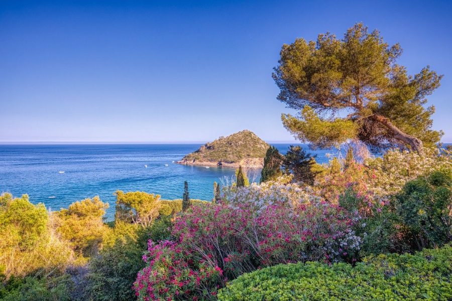 Villa Porto Ercole View